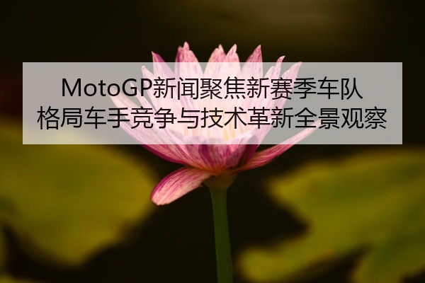 MotoGP新闻聚焦新赛季车队格局车手竞争与技术革新全景观察