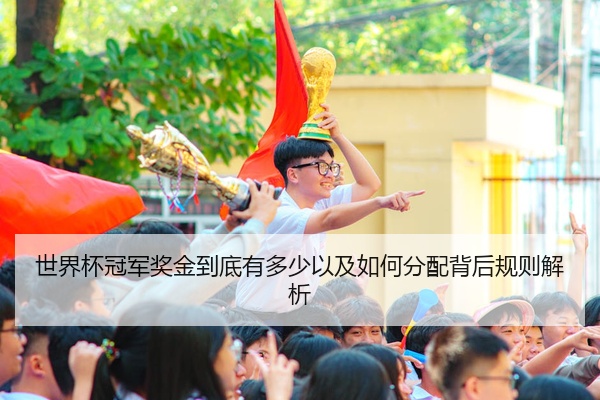 世界杯冠军奖金到底有多少以及如何分配背后规则解析