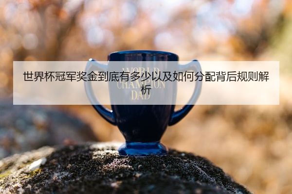 世界杯冠军奖金到底有多少以及如何分配背后规则解析