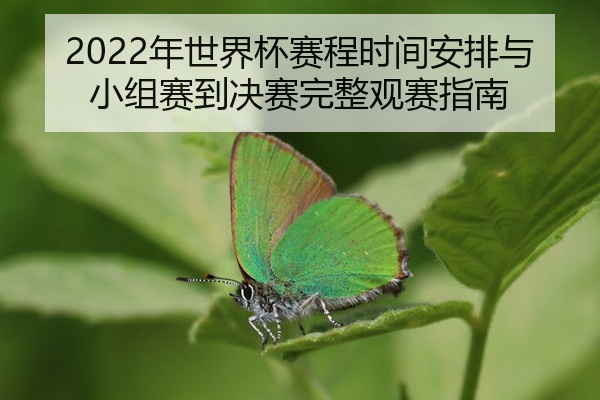 2022年世界杯赛程时间安排与小组赛到决赛完整观赛指南