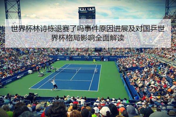 世界杯林诗栋退赛了吗事件原因进展及对国乒世界杯格局影响全面解读