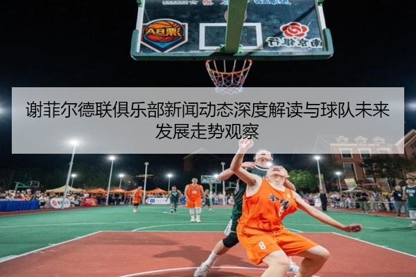 谢菲尔德联俱乐部新闻动态深度解读与球队未来发展走势观察