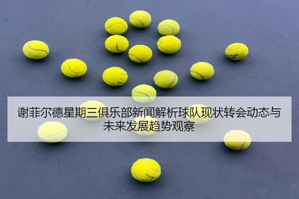 谢菲尔德星期三俱乐部新闻解析球队现状转会动态与未来发展趋势观察