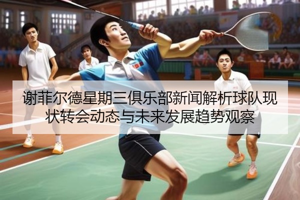 谢菲尔德星期三俱乐部新闻解析球队现状转会动态与未来发展趋势观察