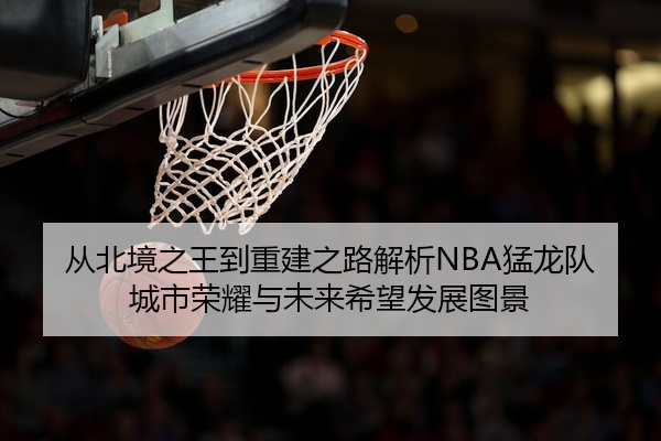 从北境之王到重建之路解析NBA猛龙队城市荣耀与未来希望发展图景